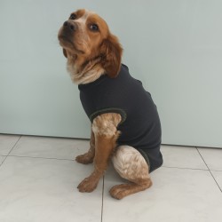 Body Pós Cirurgico Macho XXL